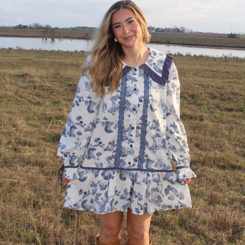 navy tolie dress nwt mini dress